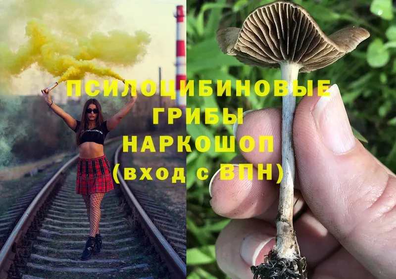 Псилоцибиновые грибы мухоморы  Ершов 